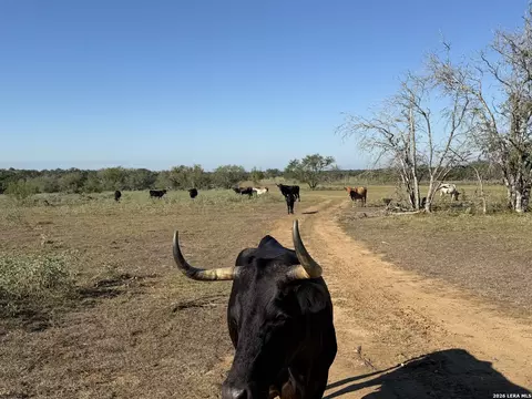 3841 County Road 427, Stockdale, TX 78160