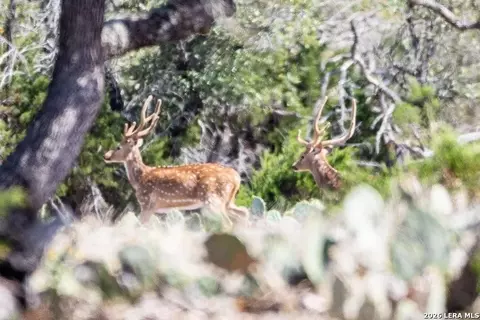 tbd Highway 41, Rocksprings, TX 78880