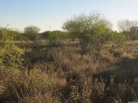 00 American, Cotulla, TX 78014 photo 2