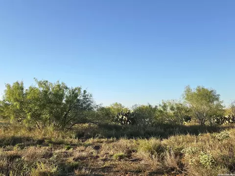 00 American, Cotulla, TX 78014 photo 6