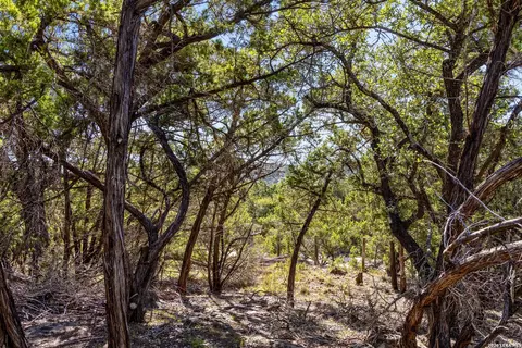 Other - 1770 Divide Pass, Blanco, TX 78606 photo 10 of 31