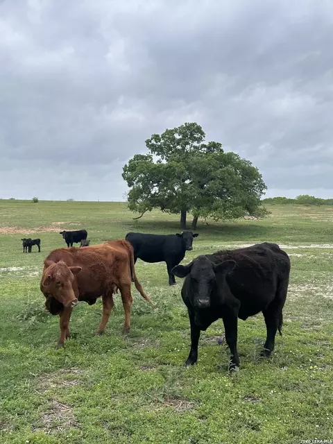 tbd W Gates Valley Rd, Poteet, TX 78065