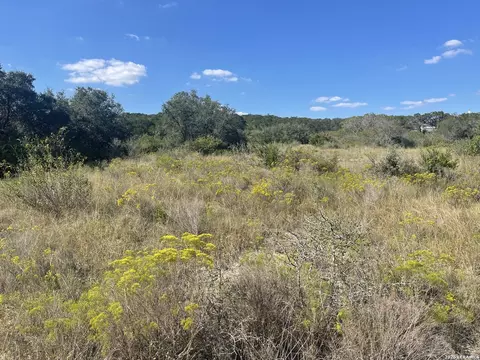 tbd Lot 8 Pr 2775, Mico, TX 78056 photo 9