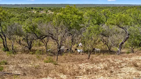 tbd County Road 4514, Devine, TX 78016 photo 6