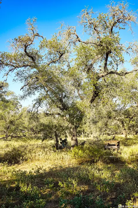Other - 000 County Road 777, Devine, TX 78016 photo 3 of 11