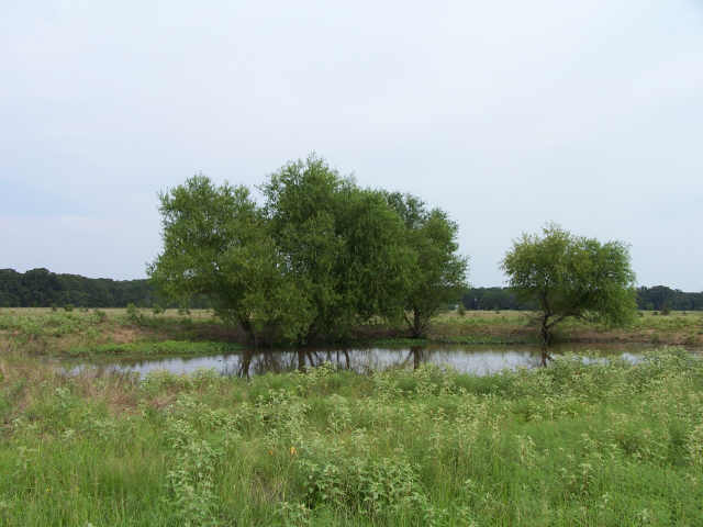 6005 Fm 47, Point, TX 75472 photo 1