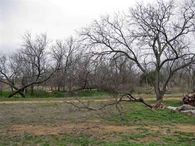 1920 Harrison St, Mingus, TX 76463 photo 24