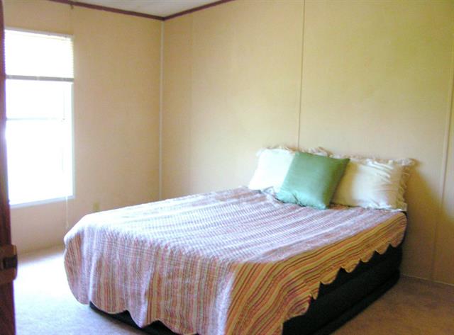 1114 County Road 404, Nemo, TX 76070 photo 7
