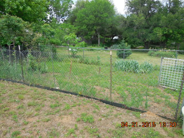 408 Travis Dr, Strawn, TX 76475 photo 7