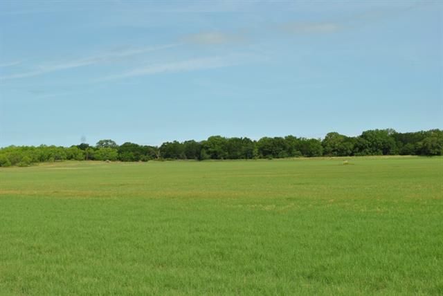 1251 Cr 417, Comanche, TX 76442 photo 14
