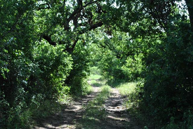 1251 Cr 417, Comanche, TX 76442 photo 23