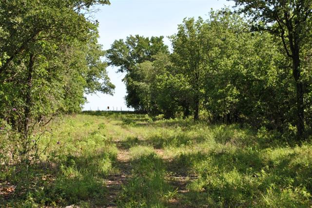 1251 Cr 417, Comanche, TX 76442 photo 13