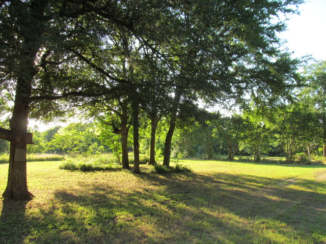 320 Pr 5451, Point, TX 75472 photo 4