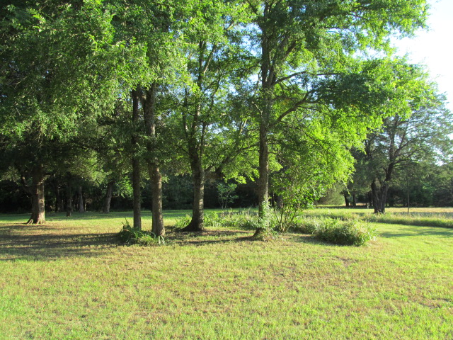 320 Pr 5451, Point, TX 75472 photo 24