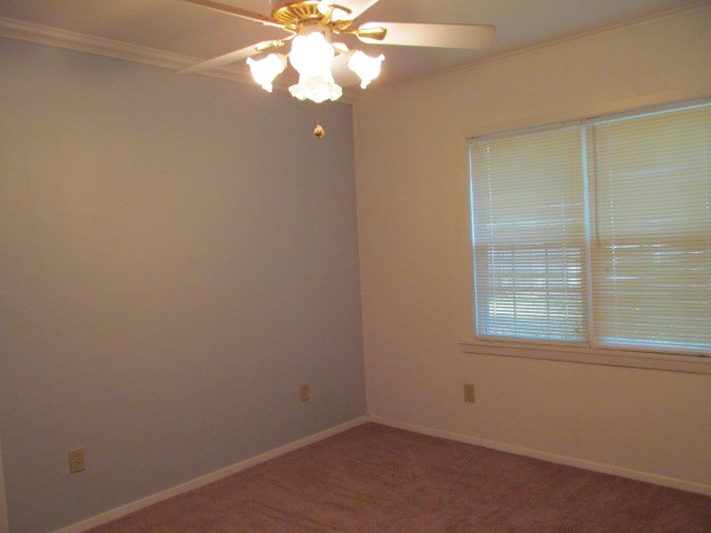 320 Pr 5451, Point, TX 75472 photo 15