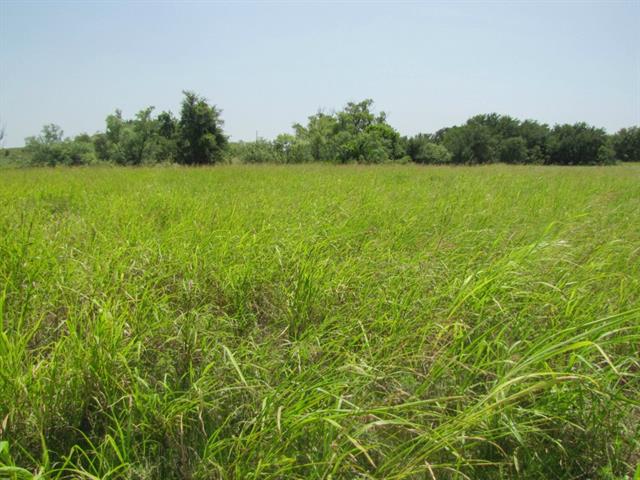 357 Lake Point Rd, Comanche, TX 76442 photo 5