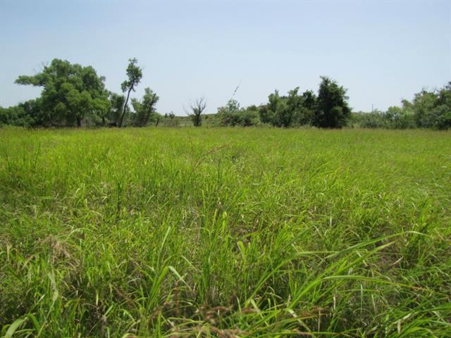 357 Lake Point Rd, Comanche, TX 76442 photo 4