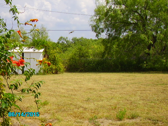 1204 Haven Dr, Comanche, TX 76442 photo 2
