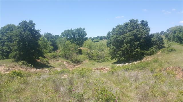 1026 Ranch View Ln, Perrin, TX 76486 photo 5