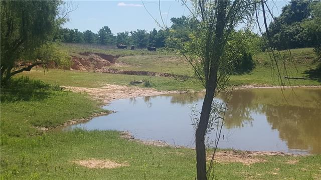 1026 Ranch View Ln, Perrin, TX 76486 photo 10