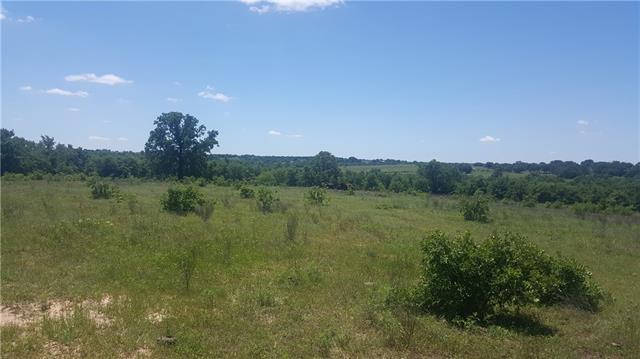 1026 Ranch View Ln, Perrin, TX 76486 photo 2