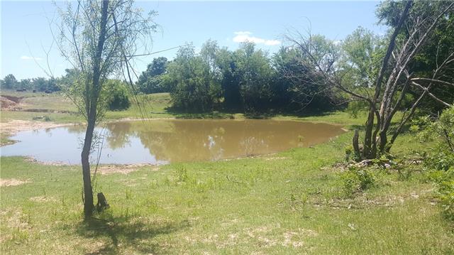 1026 Ranch View Ln, Perrin, TX 76486 photo 9