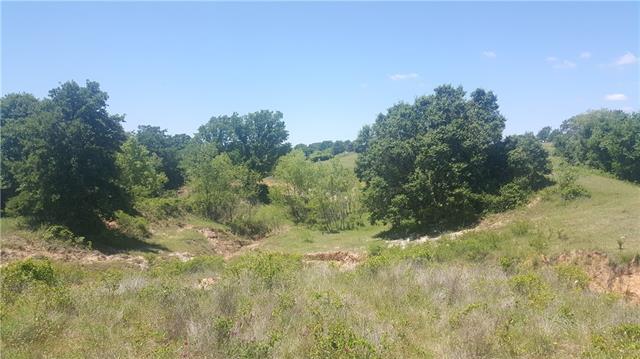 1026 Ranch View Ln, Perrin, TX 76486 photo 6