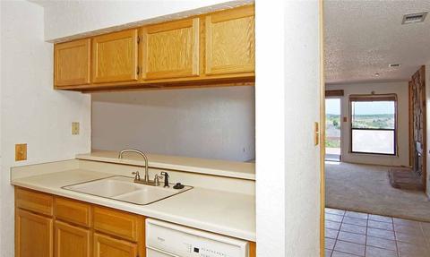 3109 Hells Gate Loop #57, Possum Kingdom Lake, TX 76475 photo 10