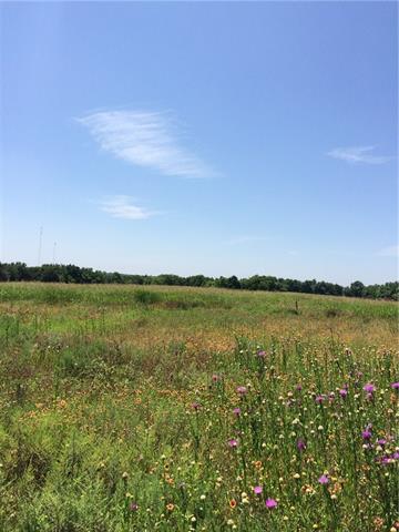 16796 E Fm 1396, Windom, TX 75492 photo 14