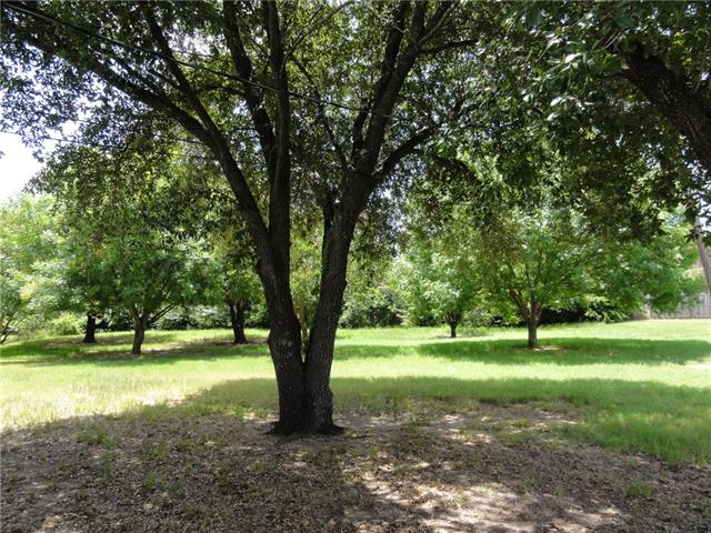910 E Letava Dr, Mabank, TX 75147 photo 8