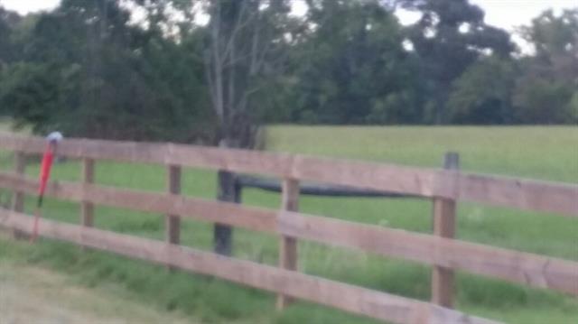 367 Baker Rd, Trinity, TX 75862 photo 15