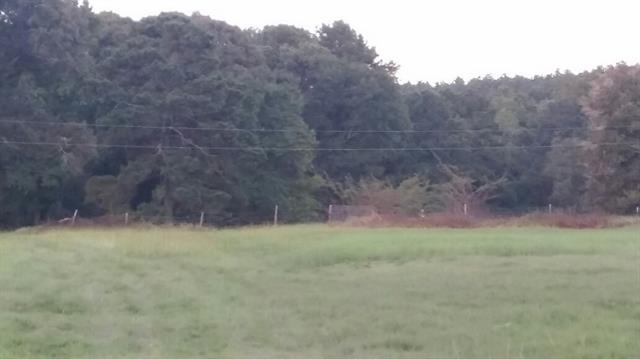 367 Baker Rd, Trinity, TX 75862 photo 3