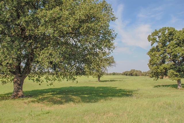 1385 County Road 121, Mingus, TX 76463 photo 30