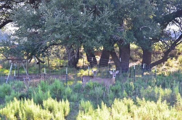 1750 County Rd 153, Comanche, TX 76432 photo 24