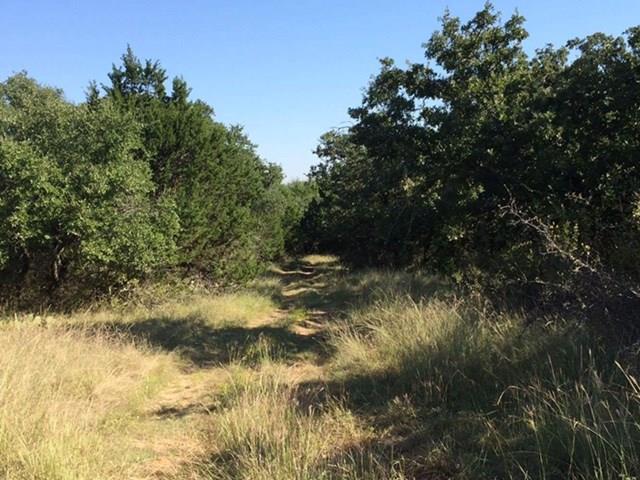 1750 County Rd 153, Comanche, TX 76432 photo 28