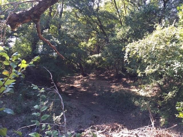 1750 County Rd 153, Comanche, TX 76432 photo 30