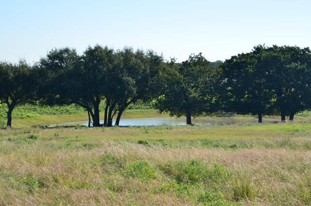 1750 County Rd 153, Comanche, TX 76432 photo 23