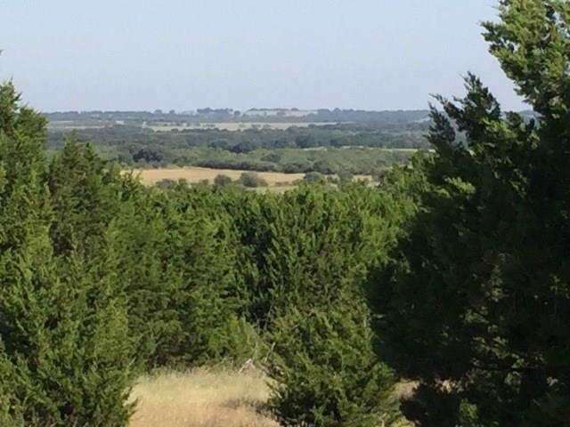 1750 County Rd 153, Comanche, TX 76432 photo 26