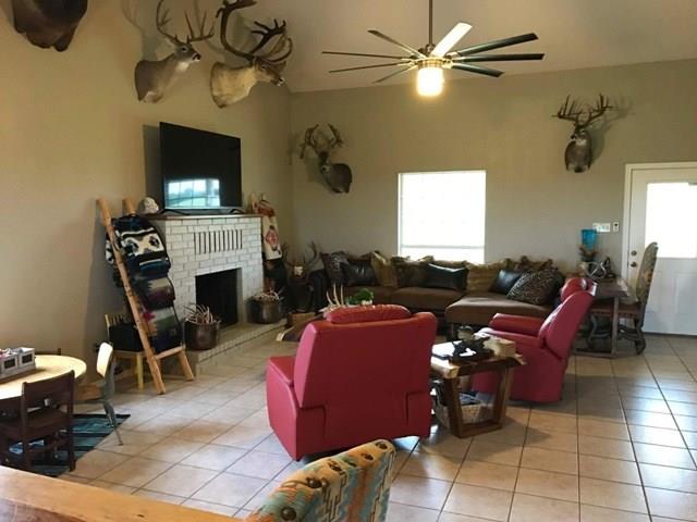 1750 County Rd 153, Comanche, TX 76432 photo 8