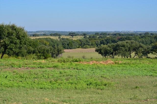 1750 County Rd 153, Comanche, TX 76432 photo 20