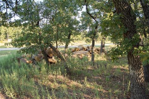 1020 Post Oak Rd, Gordon, TX 76453 photo 10