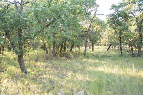 1020 Post Oak Rd, Gordon, TX 76453 photo 33