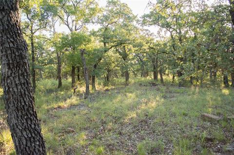 1020 Post Oak Rd, Gordon, TX 76453 photo 30