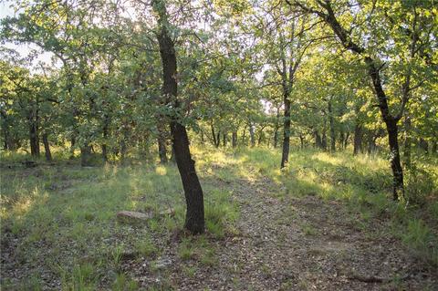 1020 Post Oak Rd, Gordon, TX 76453 photo 28