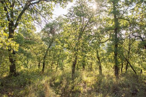 1020 Post Oak Rd, Gordon, TX 76453 photo 21