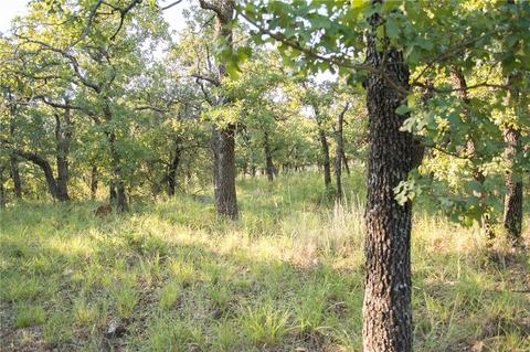 1020 Post Oak Rd, Gordon, TX 76453 photo 24