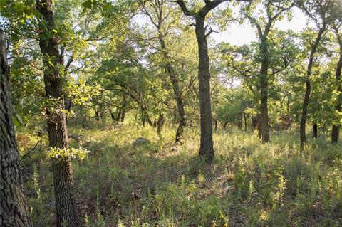 1020 Post Oak Rd, Gordon, TX 76453 photo 23