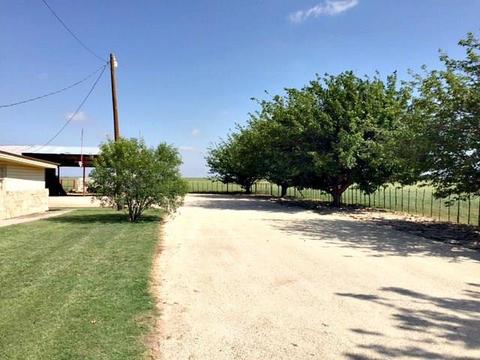 988 County Road 208, Haskell, TX 79521 photo 4