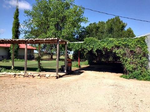 988 County Road 208, Haskell, TX 79521 photo 6
