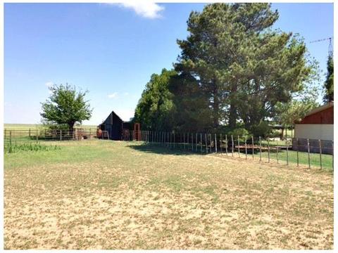 988 County Road 208, Haskell, TX 79521 photo 31